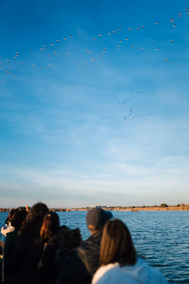 Persone che guardano il panorama del mare con uno stormo di uccelli che passa sopra.